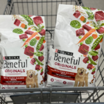 Beneful Dog Food Now Only $1.75 per Bag! Thumbnail
