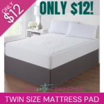 ONLY $12! Twin Size Mattress Pad! Thumbnail