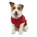 All Pet Sweaters Only $5.99! Stock up on fashion for your pet Thumbnail