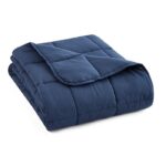 Microfiber 12lb. Weighted Blanket, 48″ L x 72″ W ONLY $29 (was $100) Thumbnail