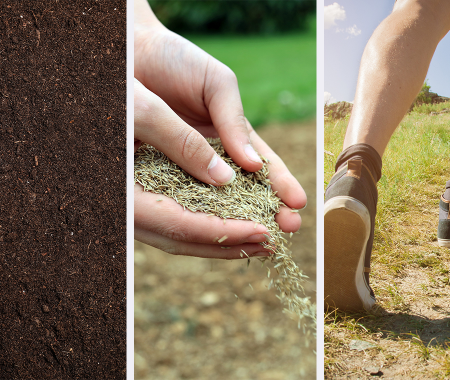 Hot FREEBIE! Get FREE Wildflower Seeds from Air Wick Thumbnail
