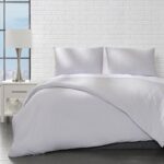 89% OFF! Microfiber Duvet Cover Set – SilverONLY $9.99! (was $89) Thumbnail