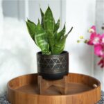 80% OFF! Black/Gold Geo Planter on Wood Stand ONLY $6.98 (was $35) Thumbnail