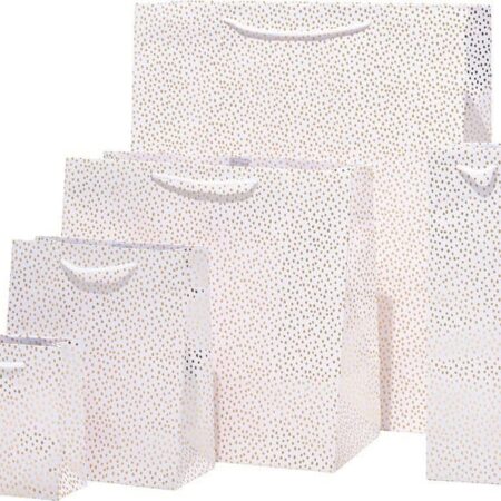 Foil Luxury Gift Bag 5-Piece Set! ONLY $5! (was $26) Thumbnail