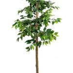 72” Artificial Ficus Tree ONLY $60.99! (44% off) Thumbnail