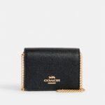 Price drop! Coach Mini Wallet on a chain $43.52 (was $59)! Thumbnail