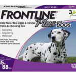 ALL Frontline Flee & Tick treatments for pets on SALE! Up to 48% off! Thumbnail