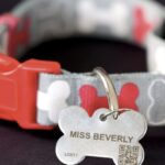 Hot freebie! Get a FREE Engraved Pet ID & Tag from Fido Alert Thumbnail