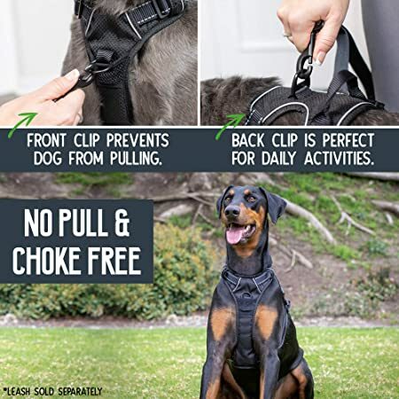 Pet Craft Supply Premium Dog Harness ONLY $6! (was $14)! Thumbnail