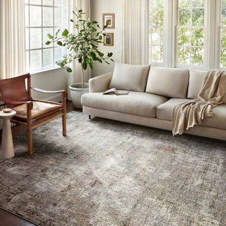 Loloi II  7′-10″ x 10′-6″ Rug NOW $185.59 (was $589)! Thumbnail