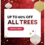 Up to 60% off all Christmas Trees! Thumbnail