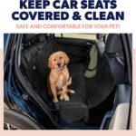 Price drop! Dog Back Seat Cover Protector NOW $13 Thumbnail