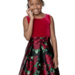 Girls Velour to Floral Rose Dress NOW $7 (WAS $40) Thumbnail