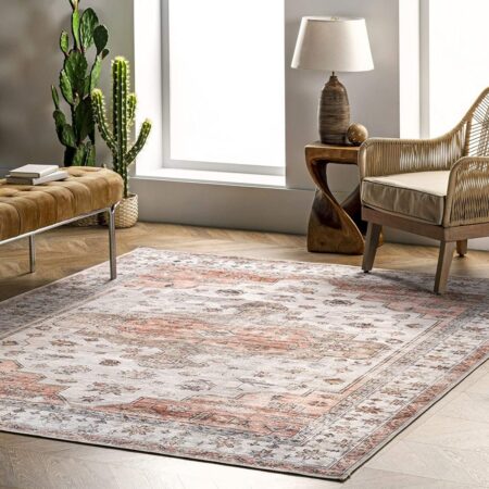 PRICE DROP! nuLOOM  Beige  Vintage Area Rug 5′ x 8′ NOW $53.32 (was $140) Thumbnail