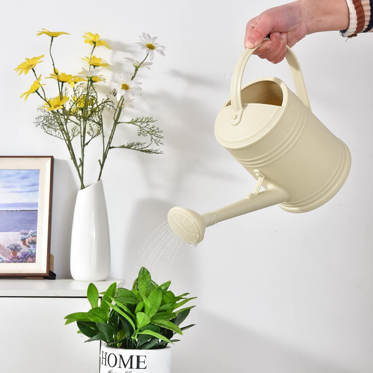 48% off! Watering Can for Indoor Plants only $13.99 (was $26.99) Thumbnail
