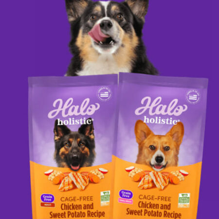 Possible FREE Holistic Pet Food from Halo Pets Thumbnail