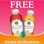 Unleash the Power of Kombucha with the Buy One Get One Free Deal! Thumbnail
