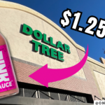 Unbelievable Find: The Viral Pink Sauce Now Available at Dollar Tree for Just $1.25! Thumbnail