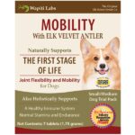 FREE Elk Velvet Antler Supplements for Dogs! Thumbnail