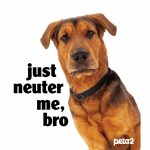 Free ‘Just Neuter Me, Bro’ Sticker! No purchase necessary Thumbnail