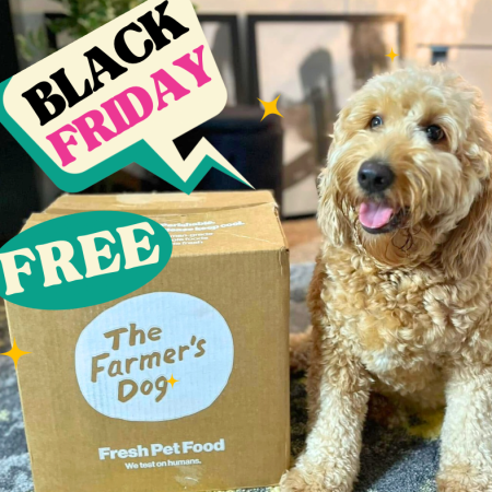 Score a 100% FREE box the Farmers Dog Pet Food! Black Friday Deal! Thumbnail